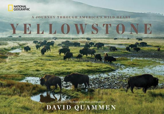 Yellowstone book cover