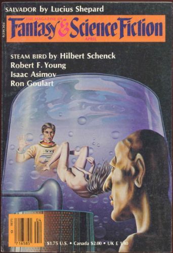 Salvador book cover
