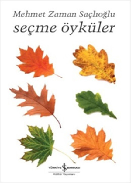 Seçme Öyküler book cover