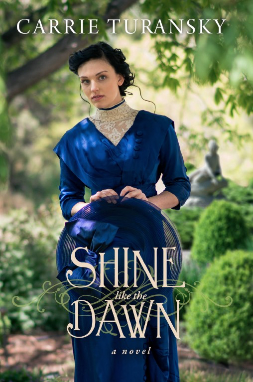 Shine Like the Dawn book cover