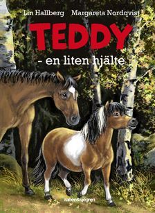 Teddy - en liten hjälte book cover