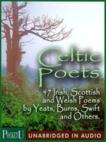 Celtic Poets book cover