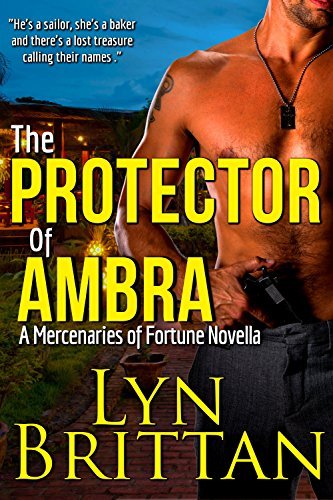 The Protector of Ambra book cover