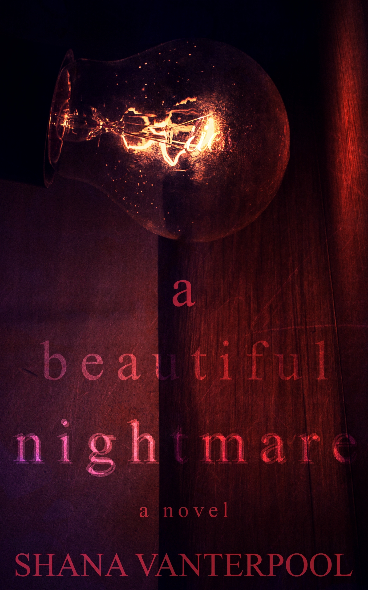A Beautiful Nightmare book cover