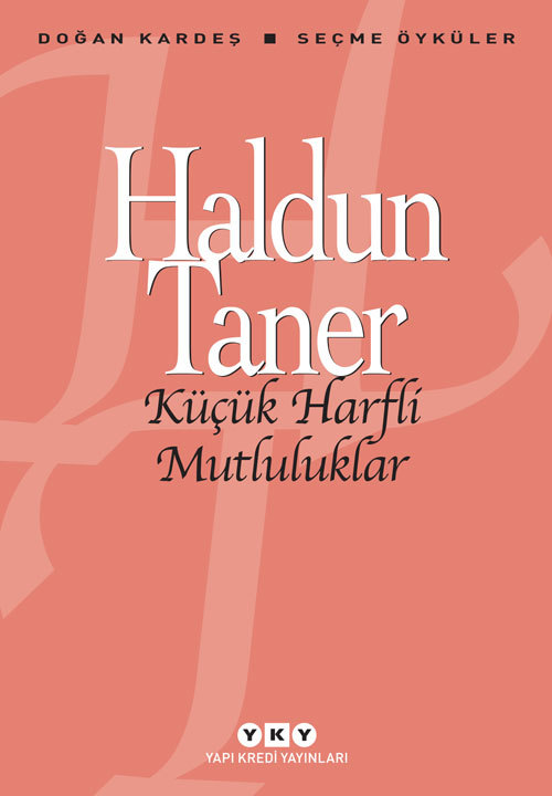 Küçük Harfli Mutluluklar book cover