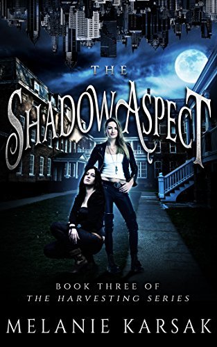 The Shadow Aspect