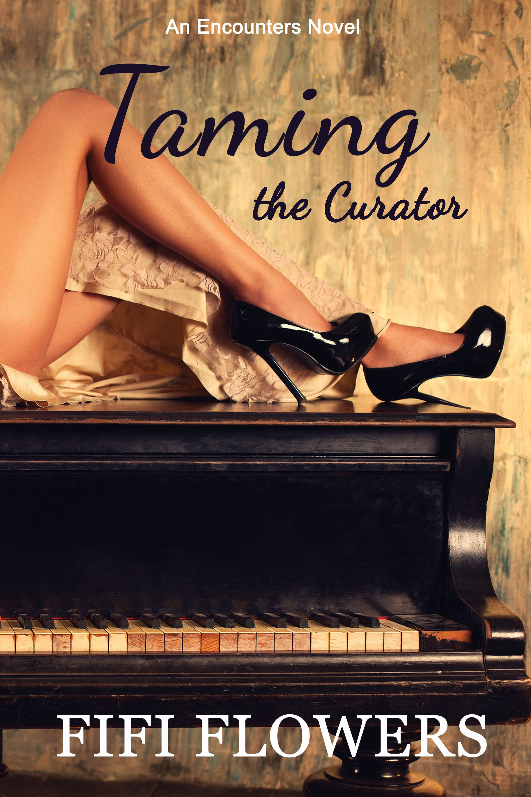 Taming the Curator book cover