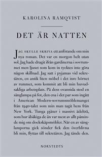 Det är natten: författaren och den som skriver