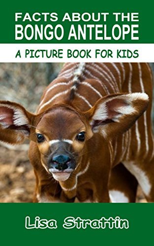 Facts About the Bongo Antelope
