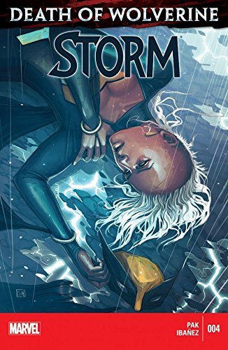 Storm #4 book cover