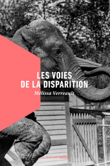 Les voies de la disparition book cover