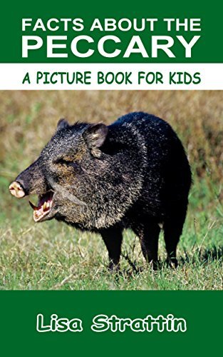 Facts About the Peccary