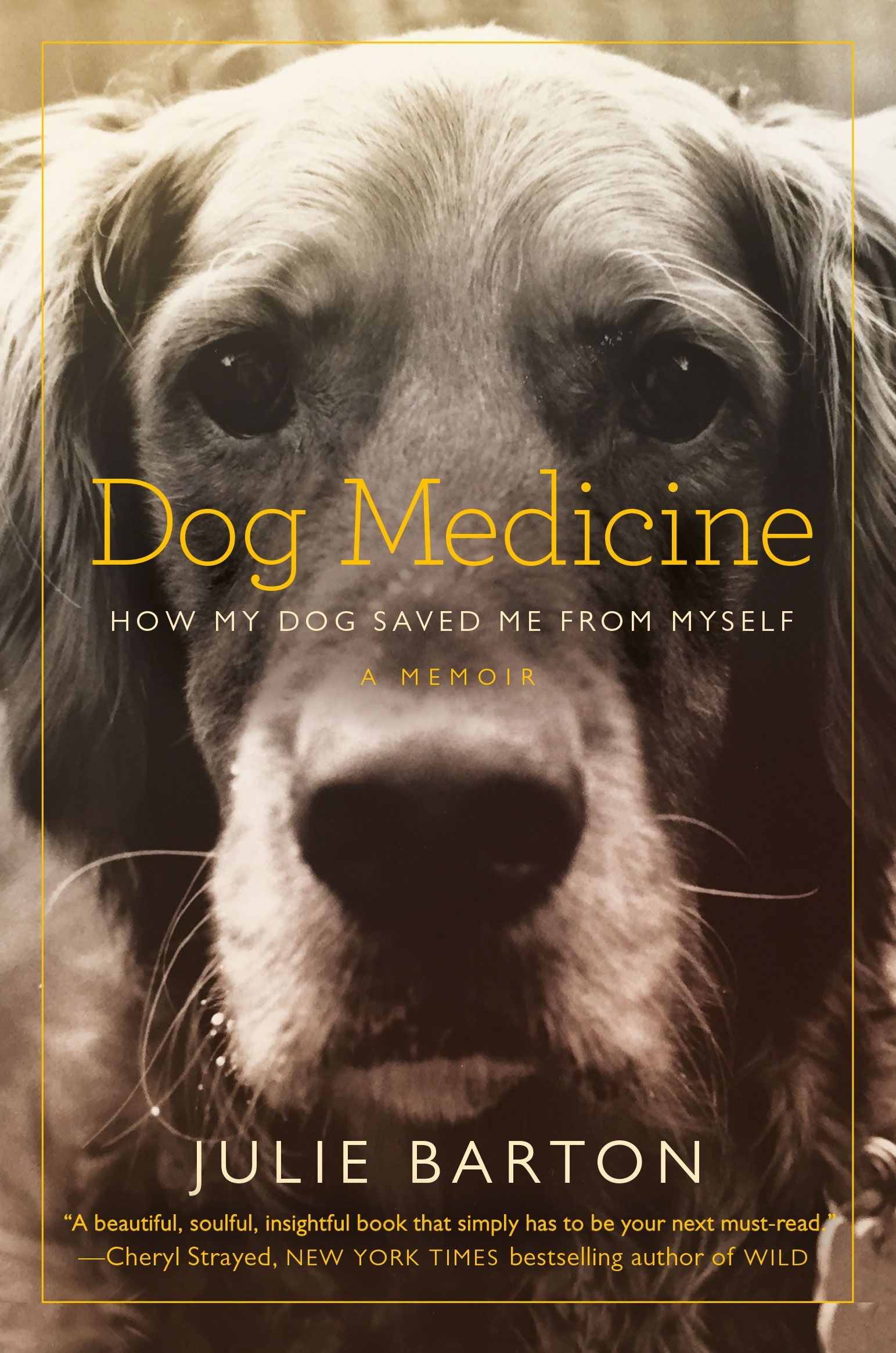 Dog Medicine: How My Dog Saved Me from Myself book cover with link to Goodreads description page