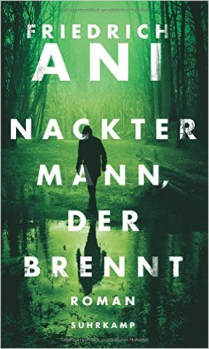 Nackter Mann, der brennt book cover