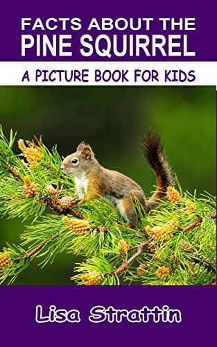 Facts About the Pine Squirrel
