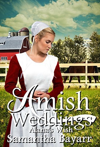 Alana's Wish book cover