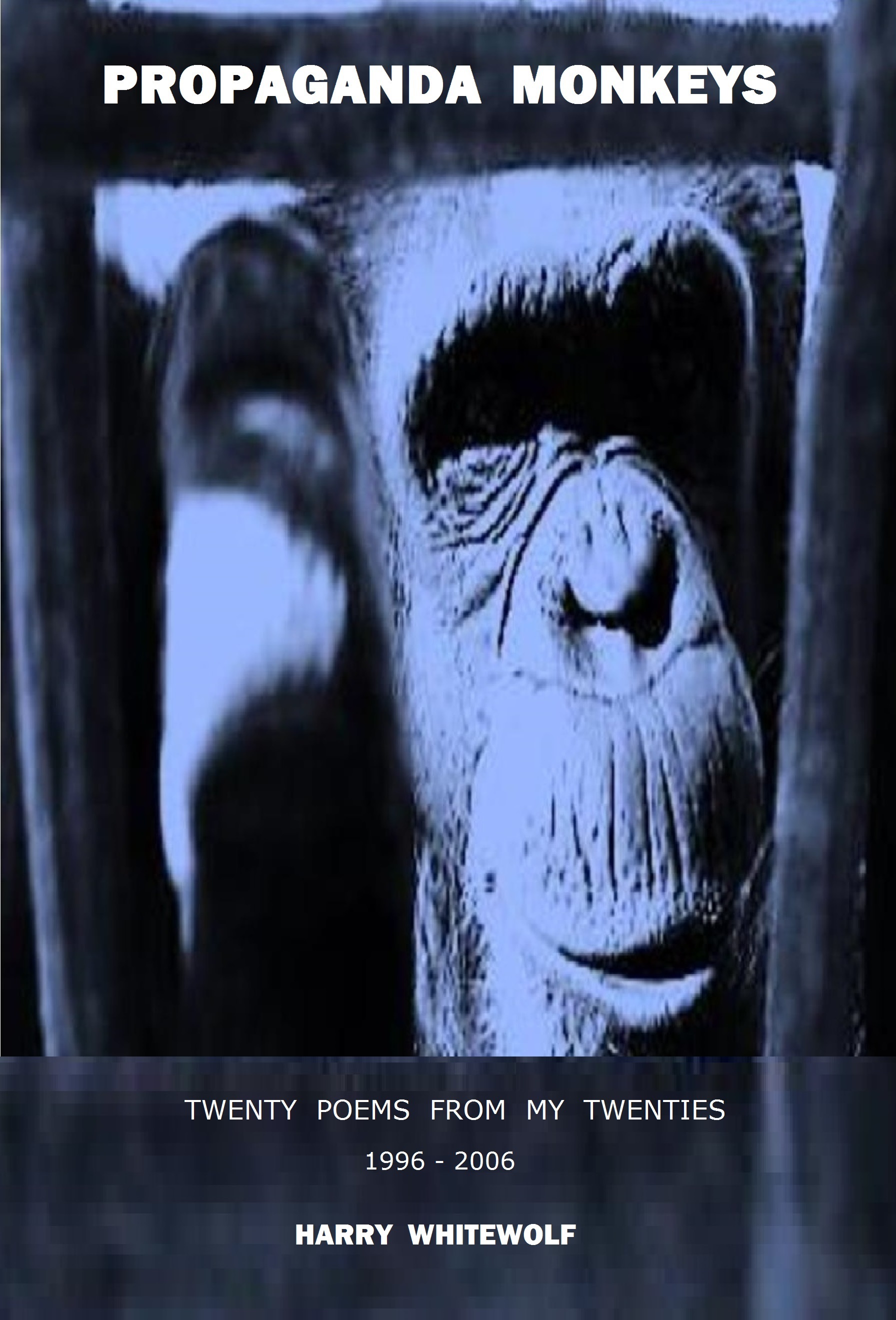 Propaganda Monkeys - Twenty Poems From My Twenties book cover