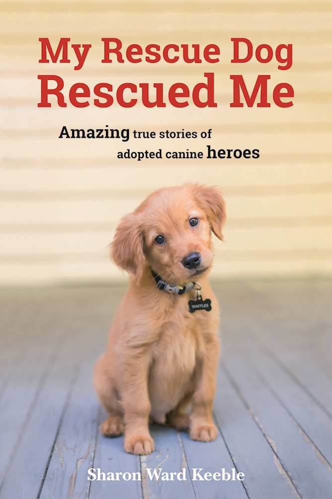 My Rescue Dog Rescued Me Amazing True Stories of Adopted Canine Heroes