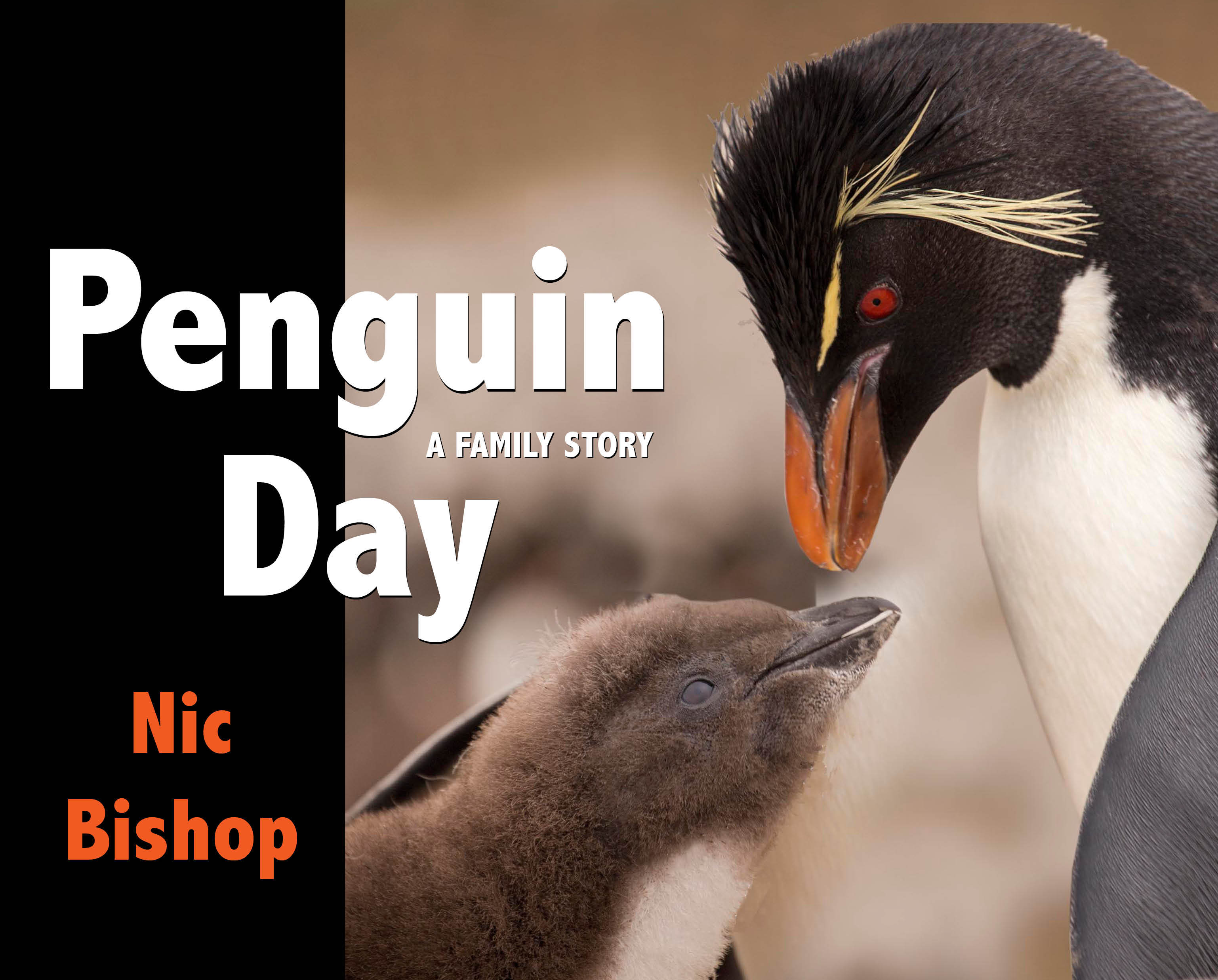 Penguin Day book cover