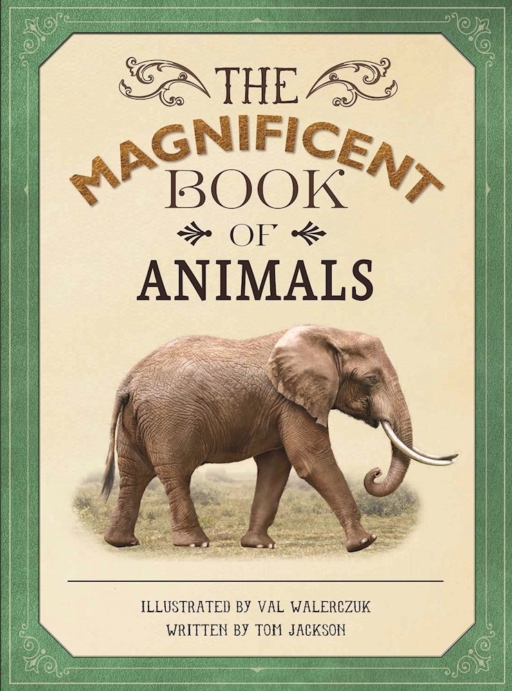 The Magnificent Book of Animals by Tom Jackson | Goodreads