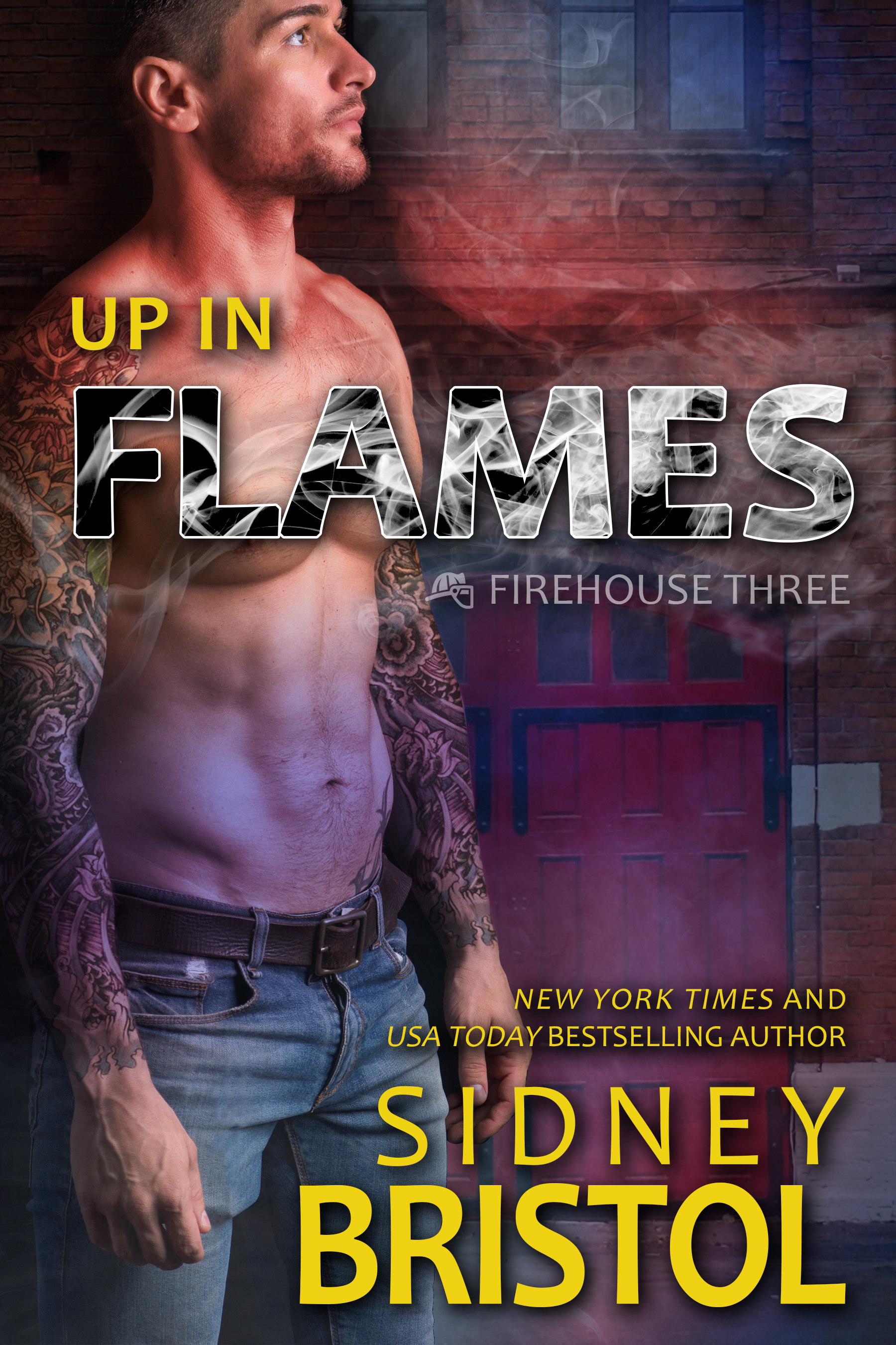 Up in Flames book cover
