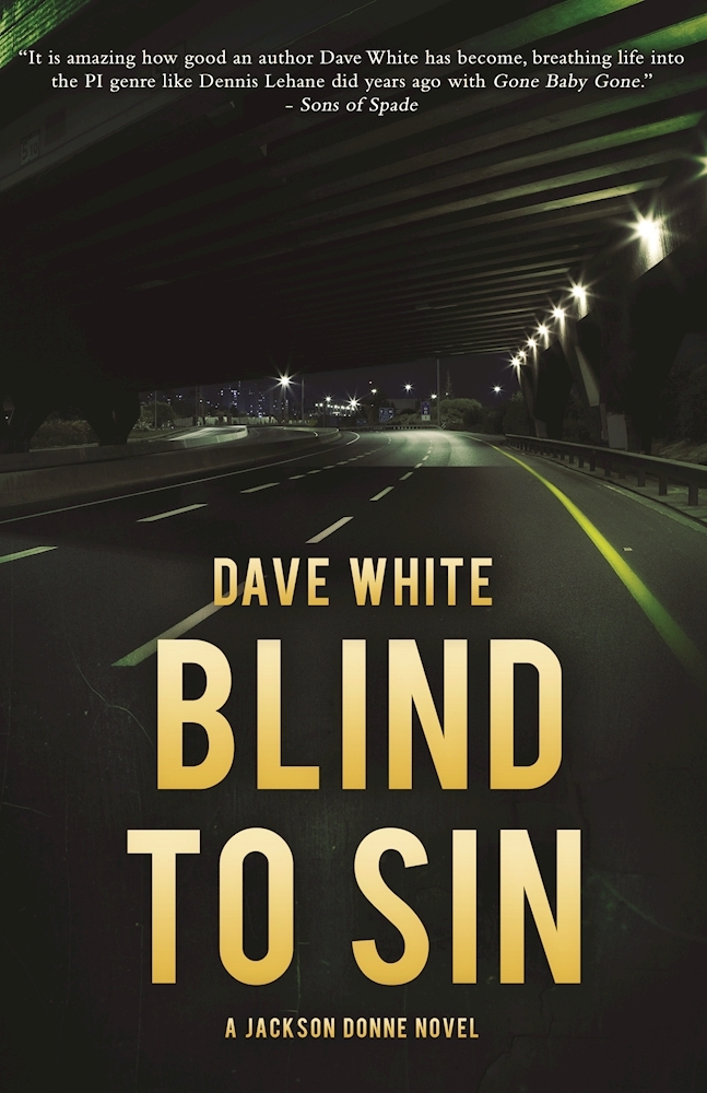 Blind to Sin book cover