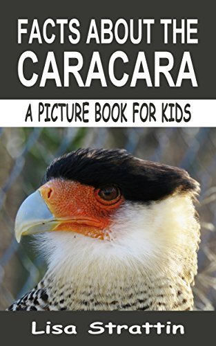 Facts About The Caracara