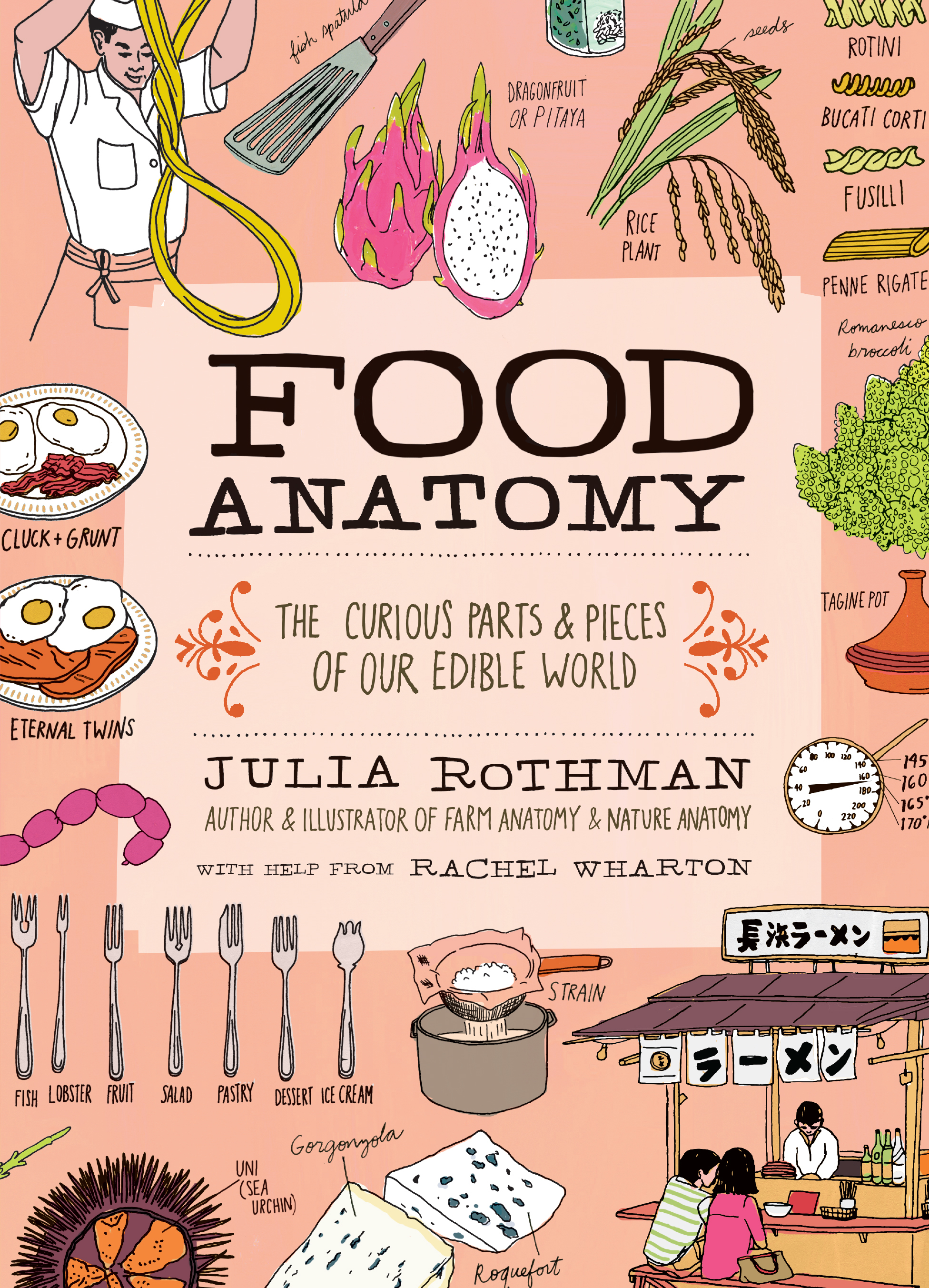 Anatomy book cover 3