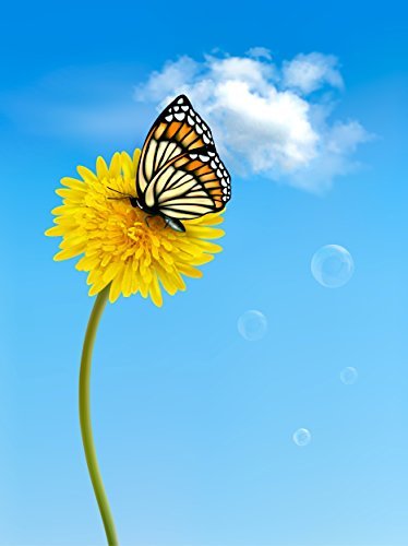 Law of Attraction: 10-Minute Practice A Day Of The Law Of Attraction