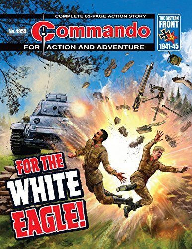 Commando #4953 book cover