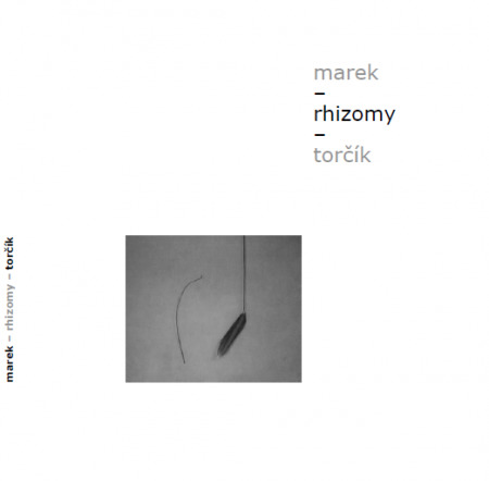 rhizomy