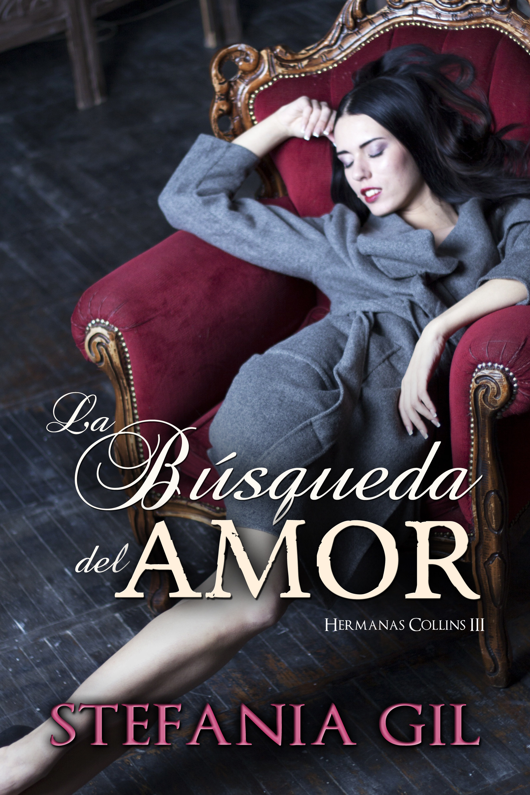 La búsqueda del amor book cover