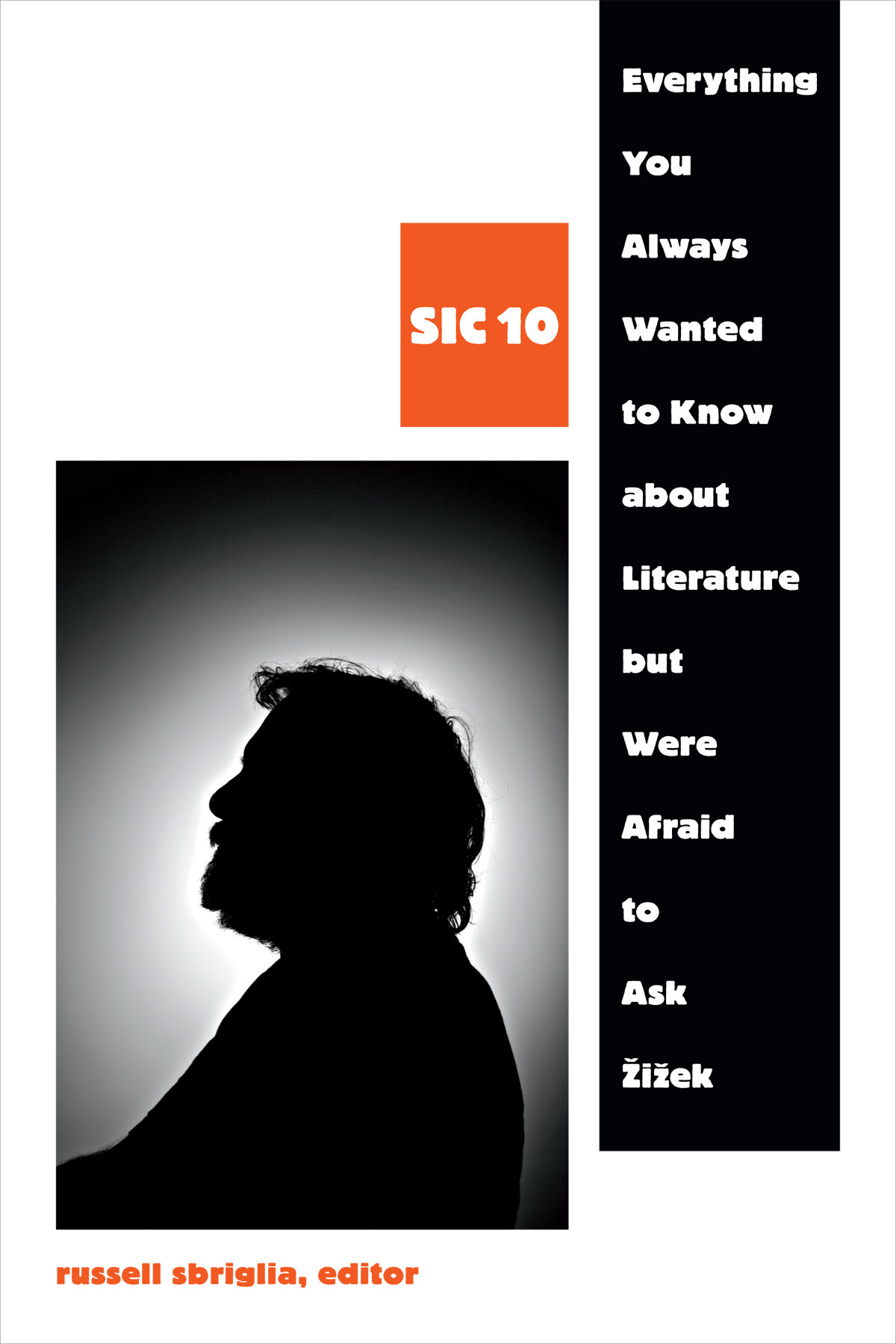 Everything You Always Wanted to Know about Literature but Were Afraid to Ask Žižek book cover