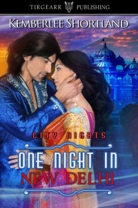 One Night in New Delhi book cover