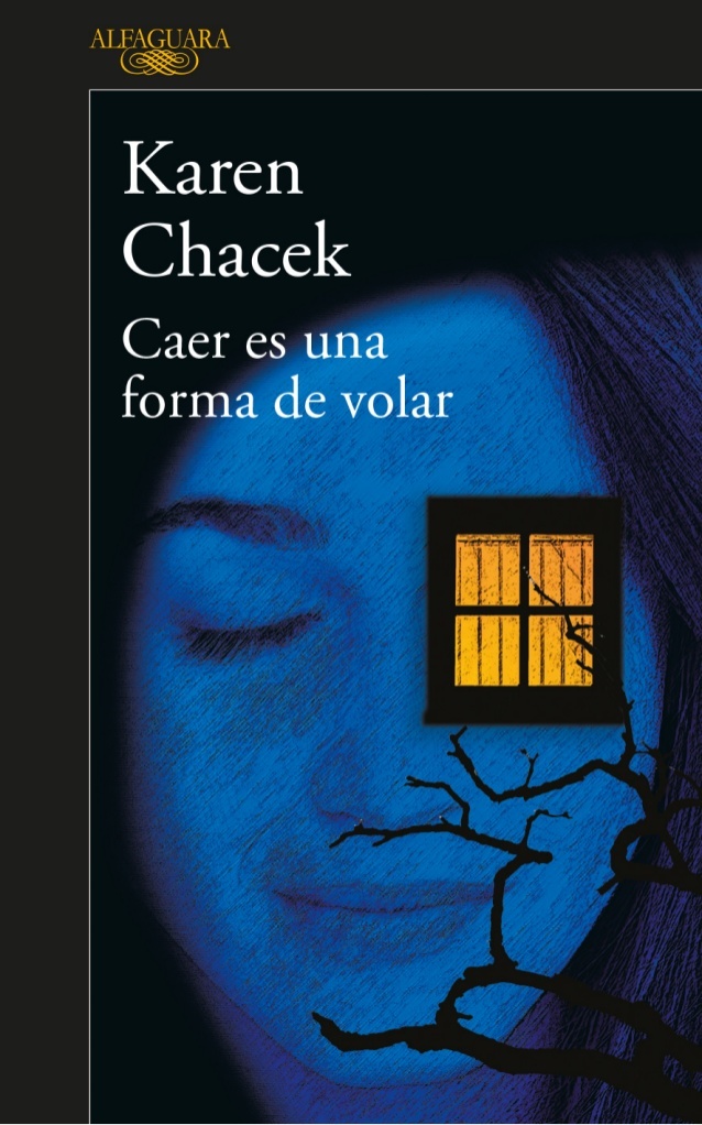 Caer es una forma de volar book cover