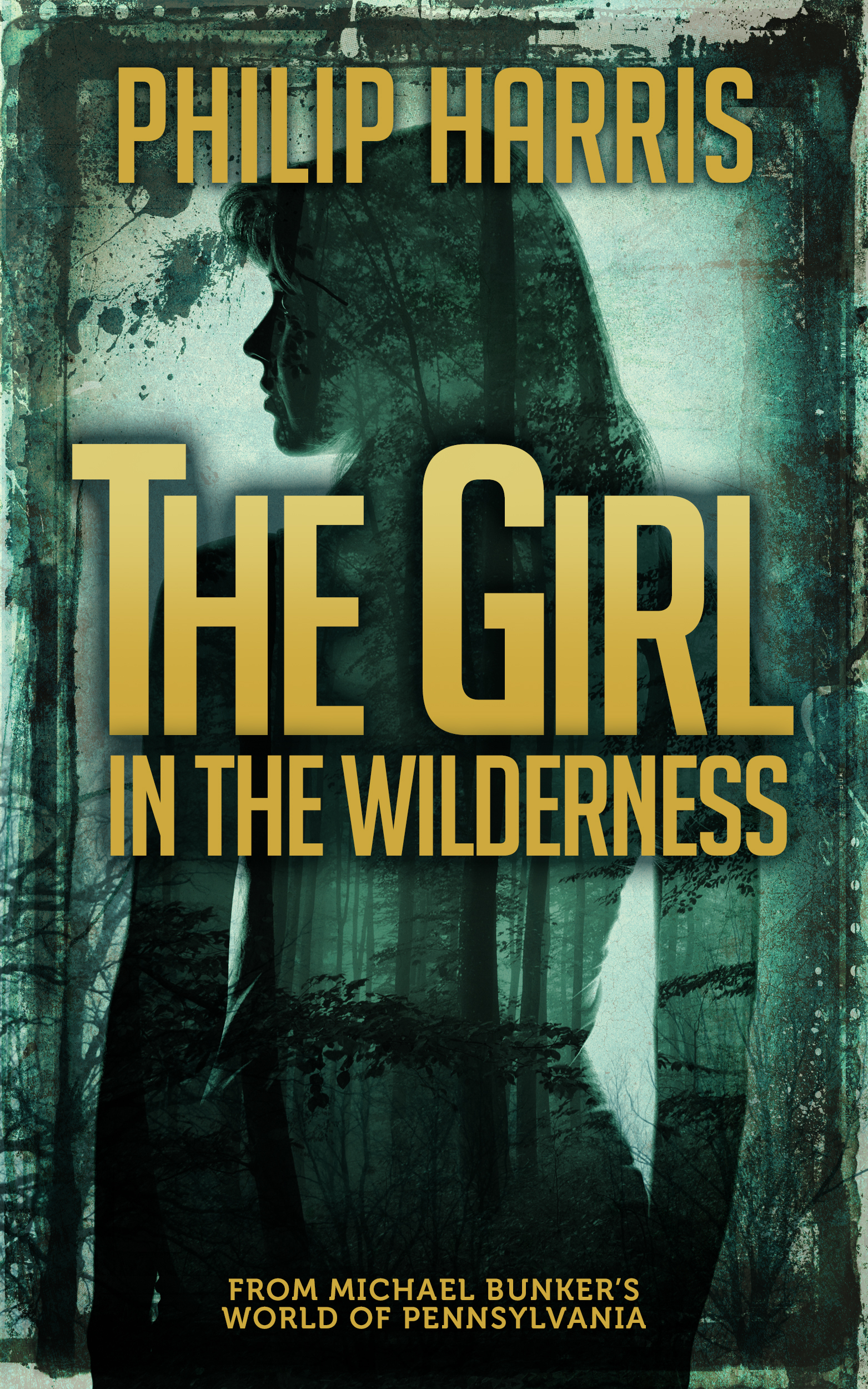 Leah King book cover 2