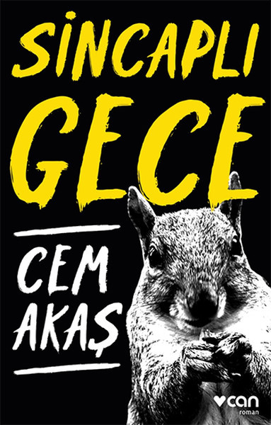 Sincaplı Gece book cover
