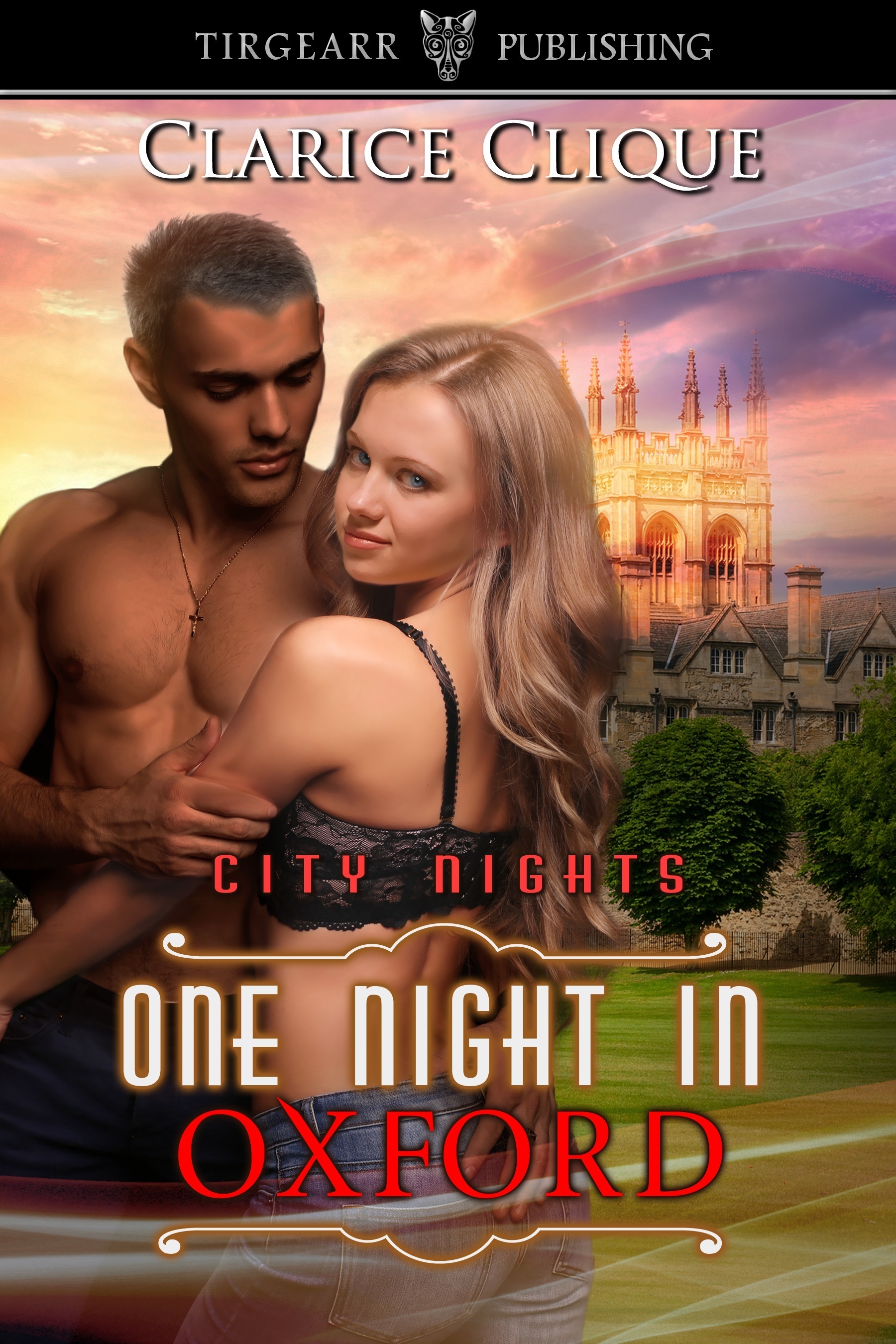 One Night in Oxford book cover