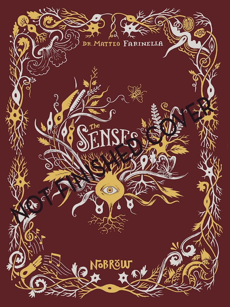 The Senses