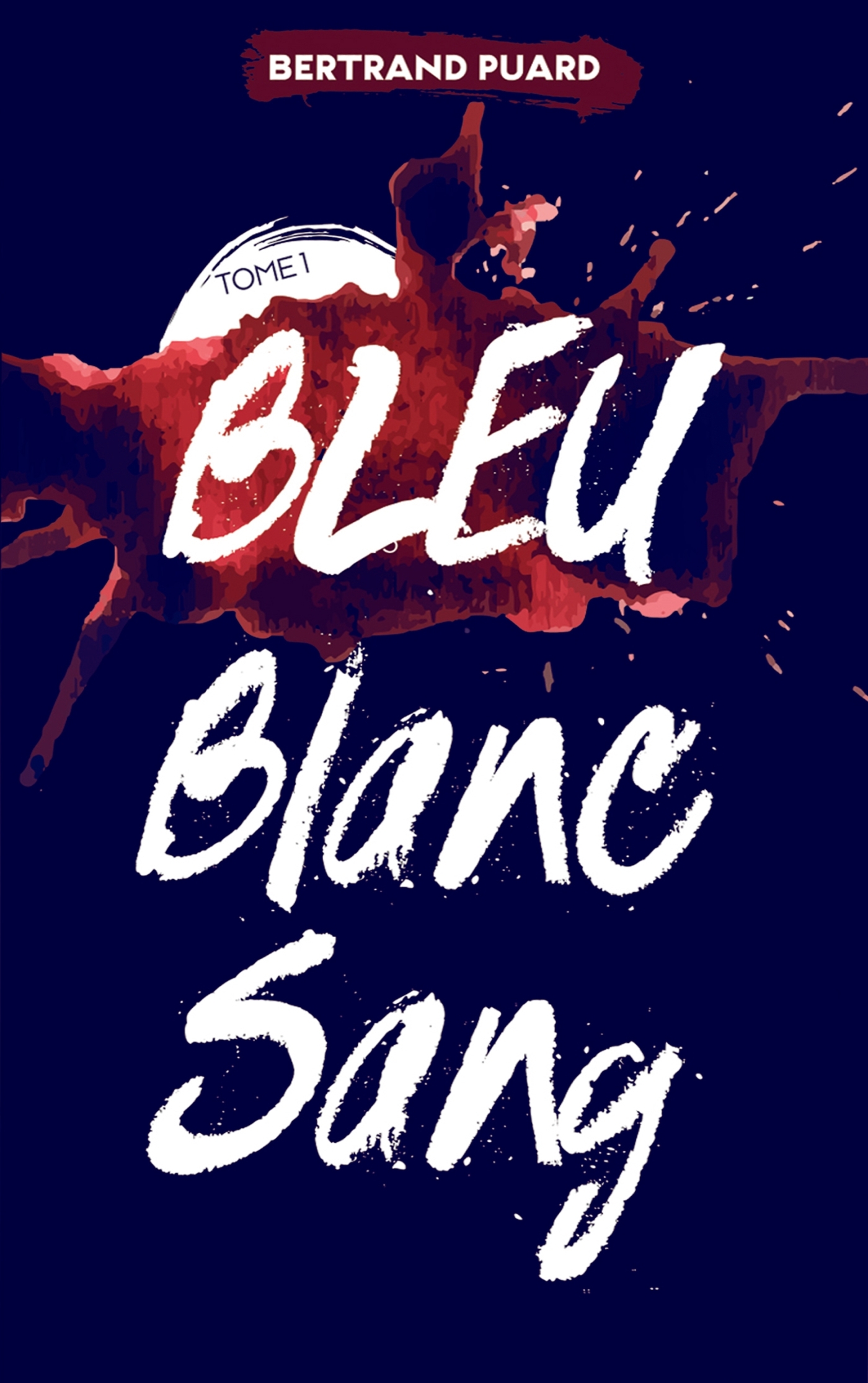 Bleu, Blanc, Sang book cover 1