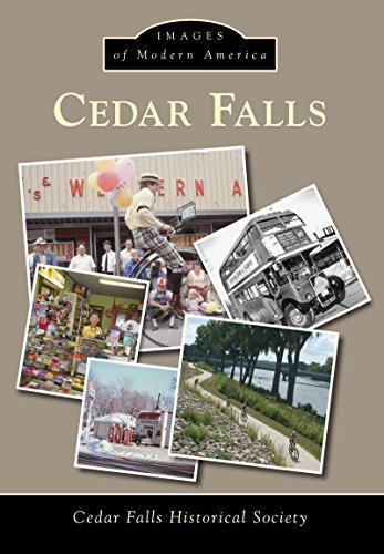 Cedar Falls book cover