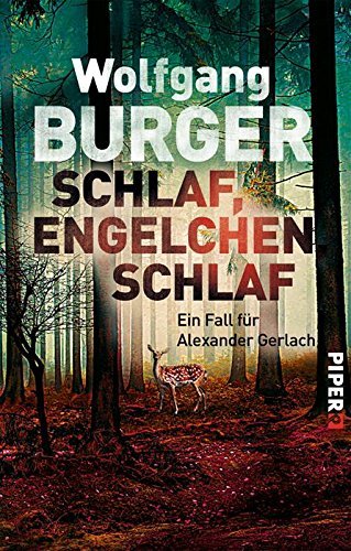 Schlaf, Engelchen, schlaf book cover