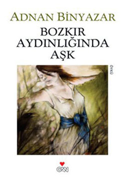 Bozkır Aydınlığında Aşk book cover