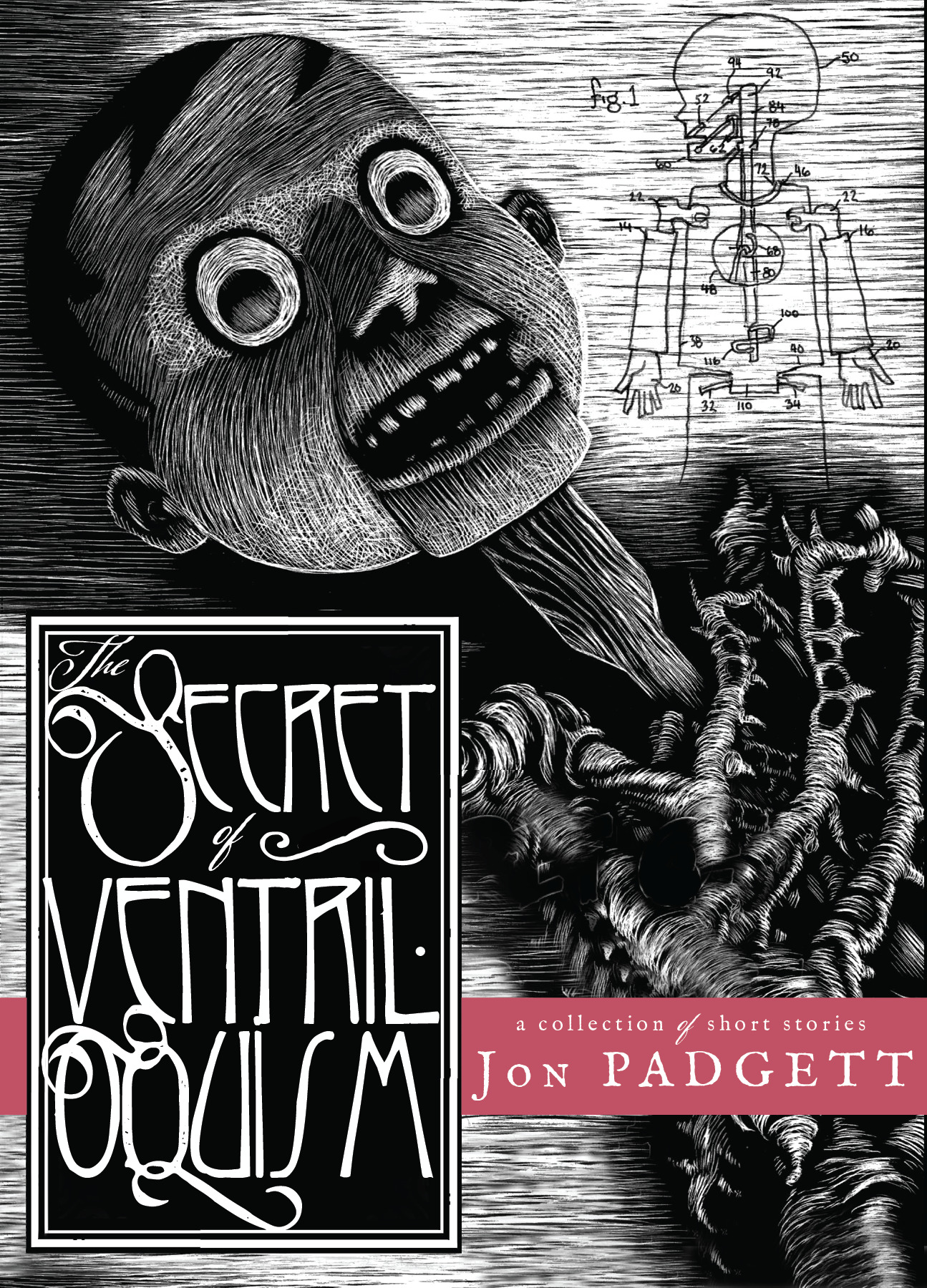 The Secret of Ventriloquism book cover