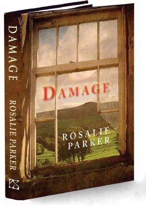 Damage book cover
