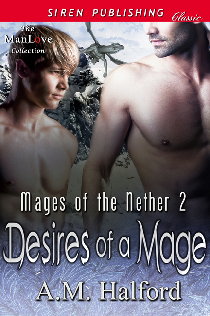 Desires of a Mage book cover