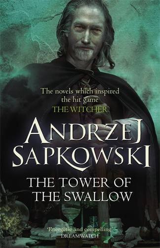 The Tower of the Swallow (The Witcher, #4)