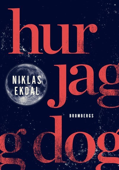 Hur jag dog - och fick klart för mig hur allt hänger ihop book cover