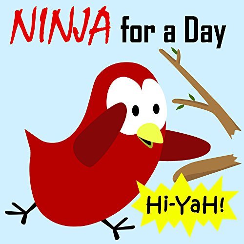 Ninja for a Day