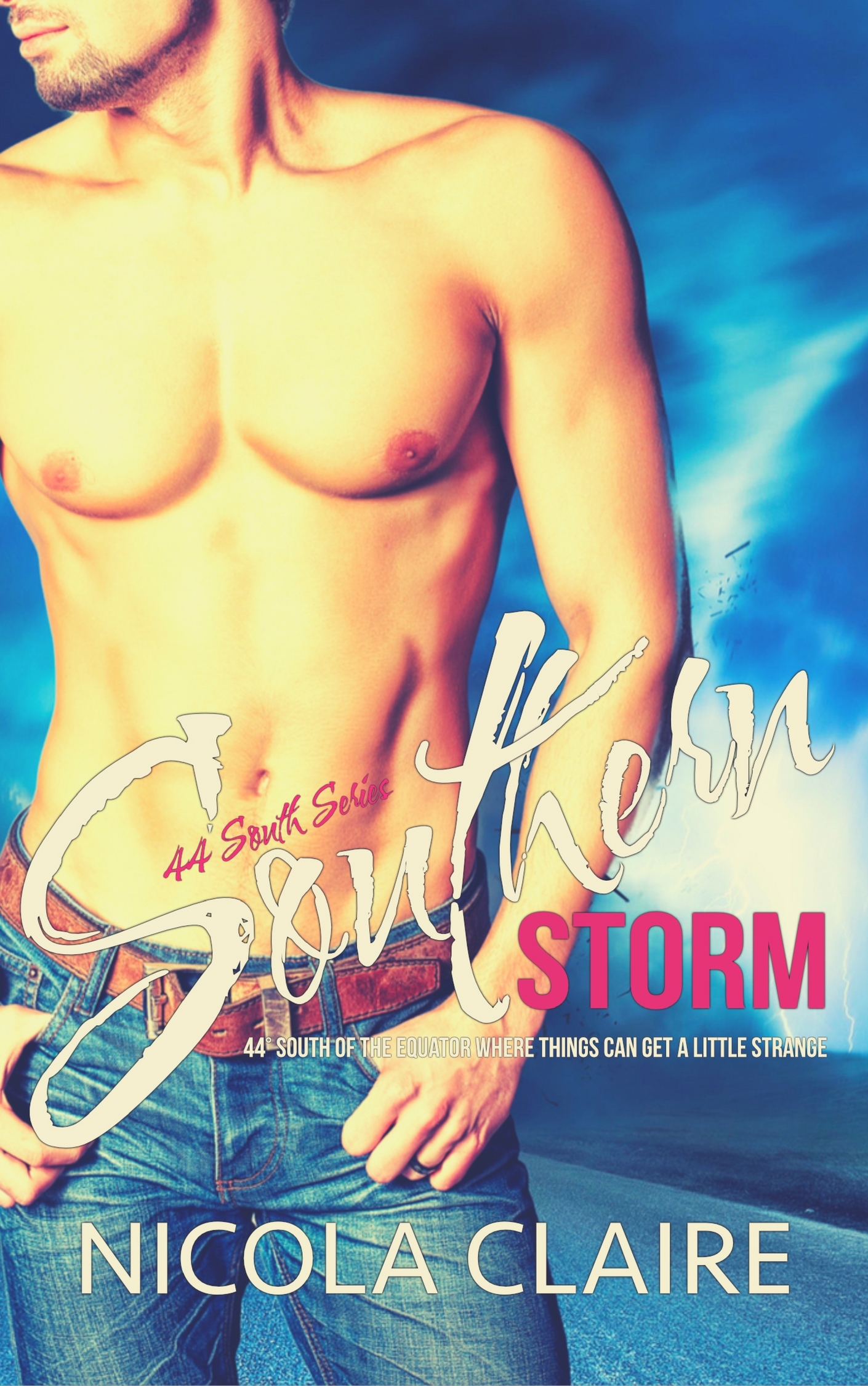 Southern Storm book cover